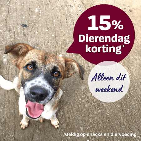 Banners_Website_DD26_Mobiel_1_.png